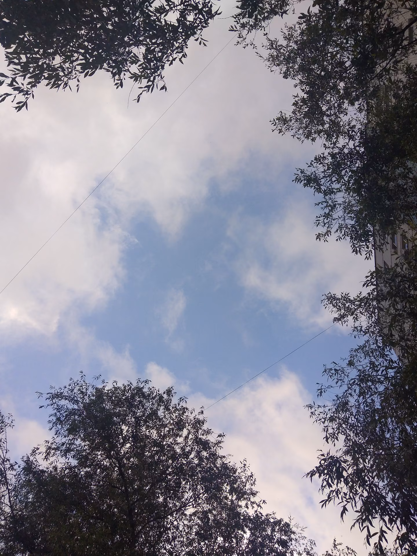 d635f0f014b06ce0897d45f8dd91940b.avif