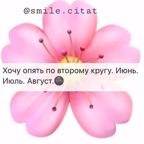 d63ca56838a9b1a4f4d8a6a4b4b410c4.jpg