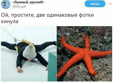 d64e75304d8a416f6e4edfa8086c5a59.avif