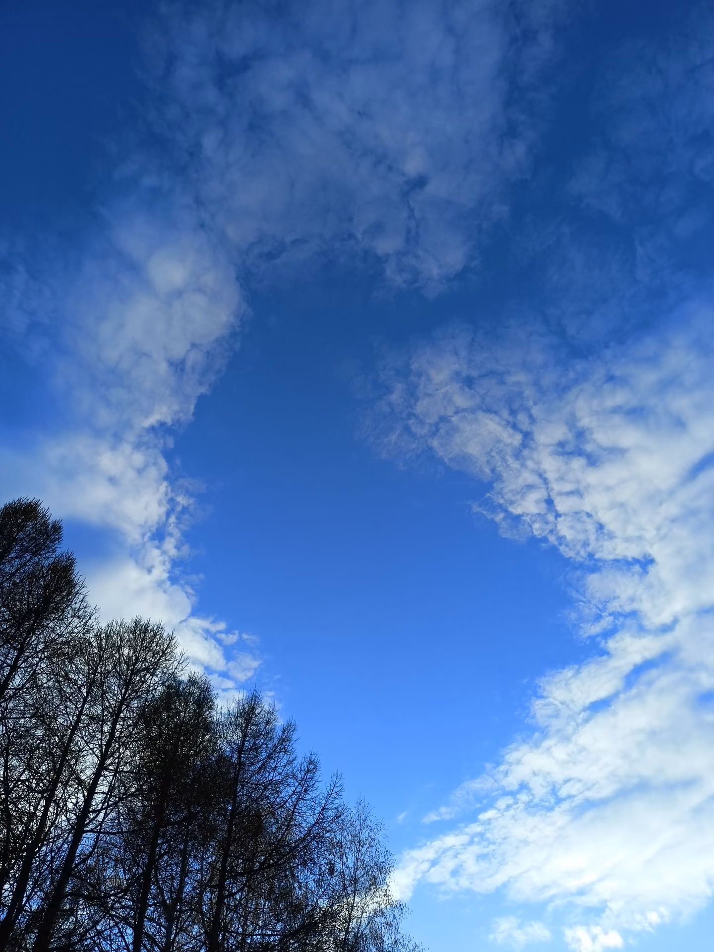 d654d59bc27faba733bdfcd39a0234e6.jpg
