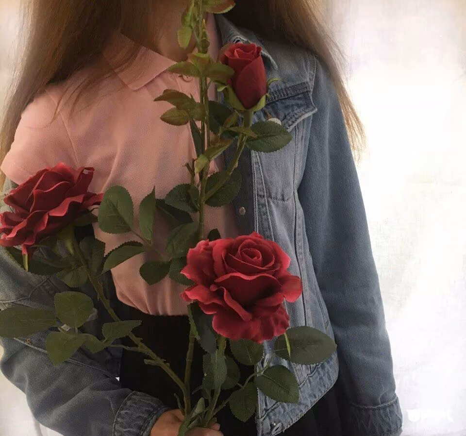 d65d2e6c70a84c6742de4c21f1ddb549.jpg