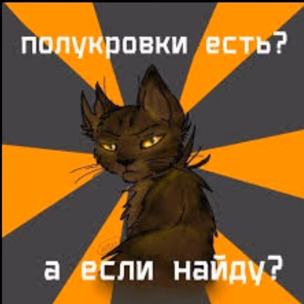d65ffcf564a43a449efa054f805a1b0b.avif