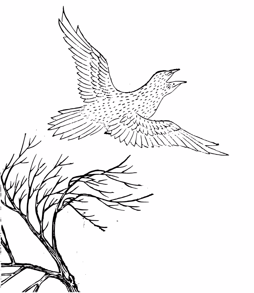 d663b71c6f47e4abf2fcd8533c7eb343.avif