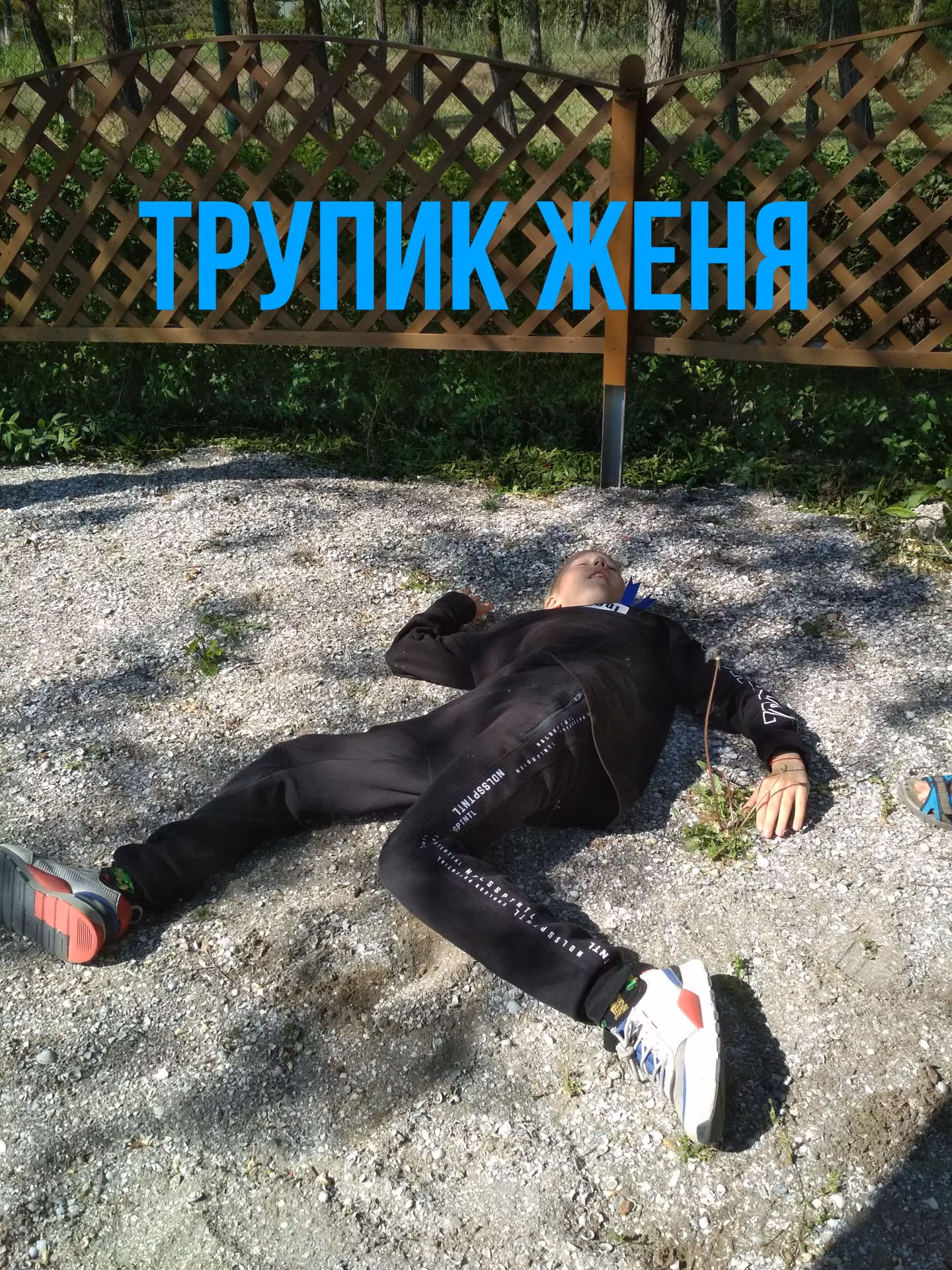 d664809478b20bbe363d4b7a556e4f6d.avif