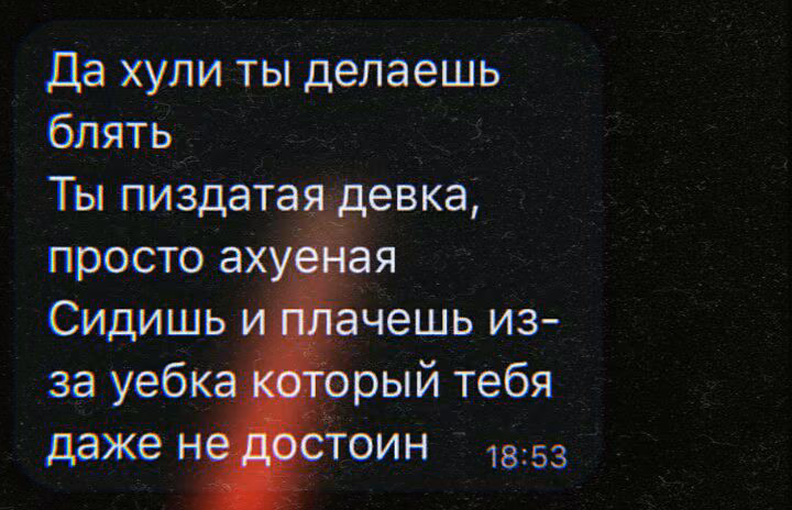 d6849b632d52b3c7a785d7fec12b42dd.jpg