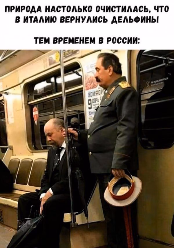 d689d8e2039a7b22734a0494ca4d01c9.avif