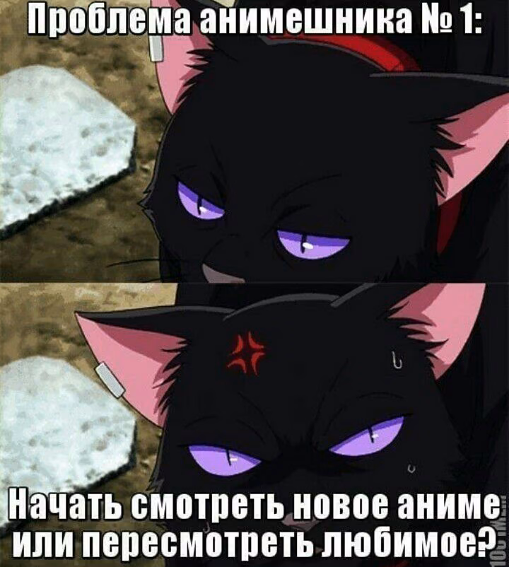 d692350473fd9b56a49a3e83b41b4a18.jpg