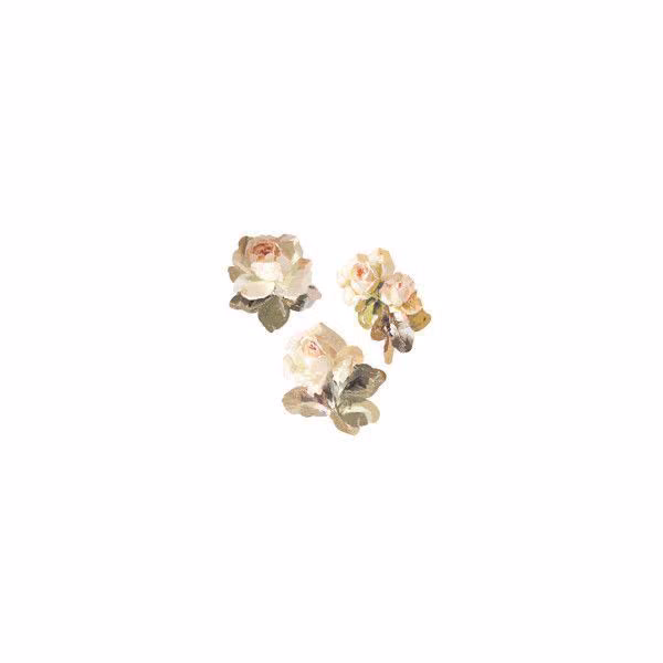 d699f732a52ae2cb326b3171af606bc2.avif