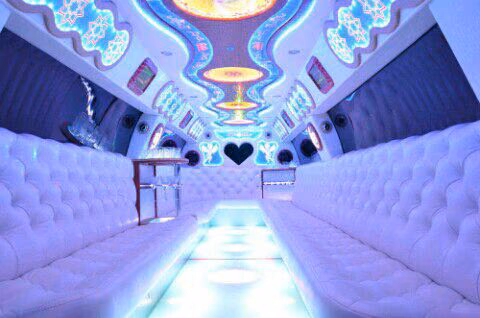 d69a6c54e11f16e5a21ad14bed9badd5.avif