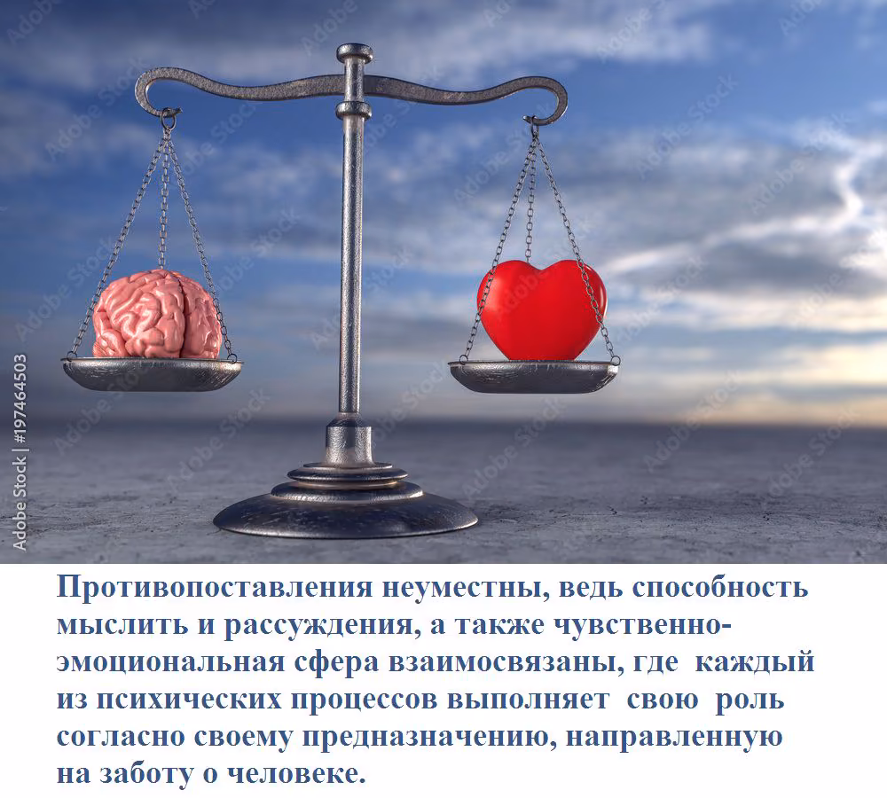 d6b78df922fdaccd6cbe07f1a0aab9ce.avif