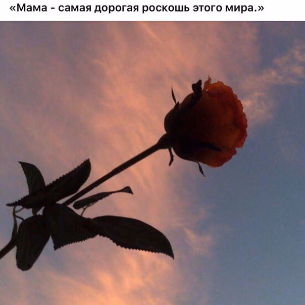 d6ba66741c11edd3ab916cea95857f0d.avif