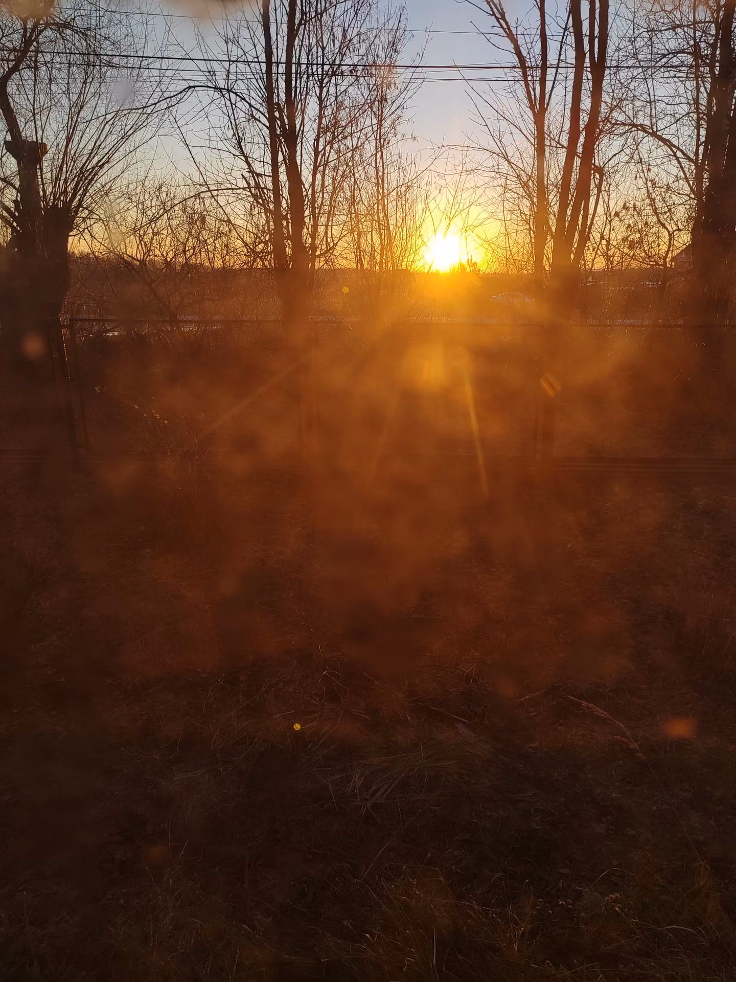 d6c2b788a90748424e52f8cc866fdc54.jpg