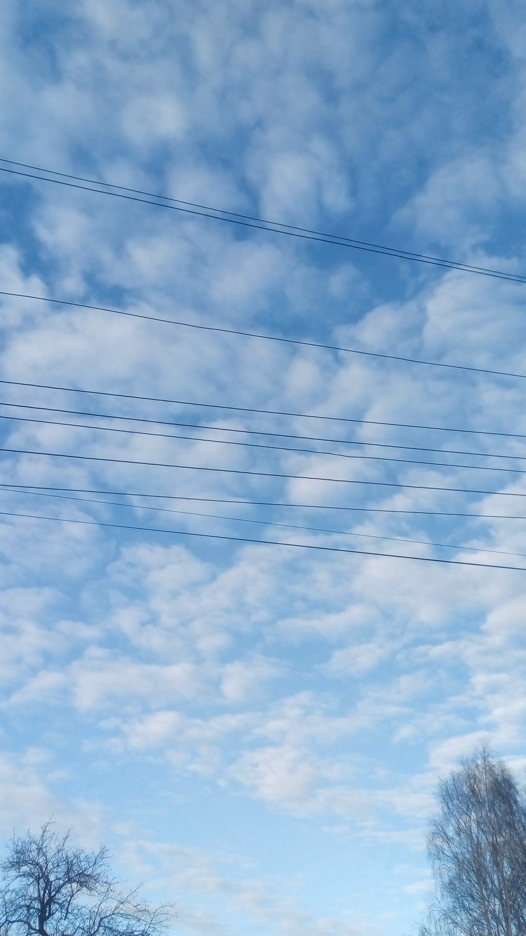 d6d815317a82506a0a0ad25fcf71f4c9.jpg