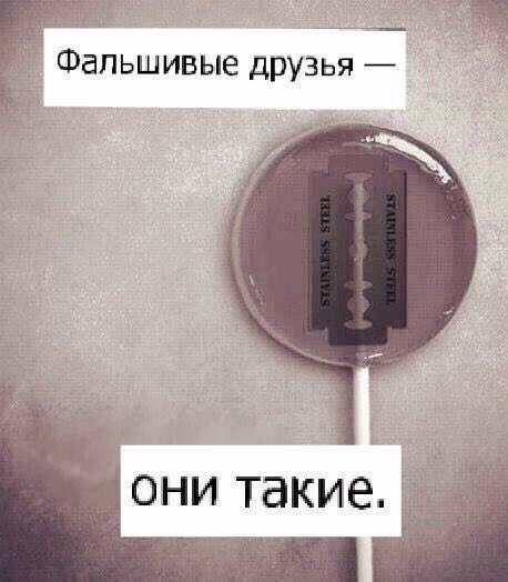 d6e4ecc75079940e17435c63825d3715.avif