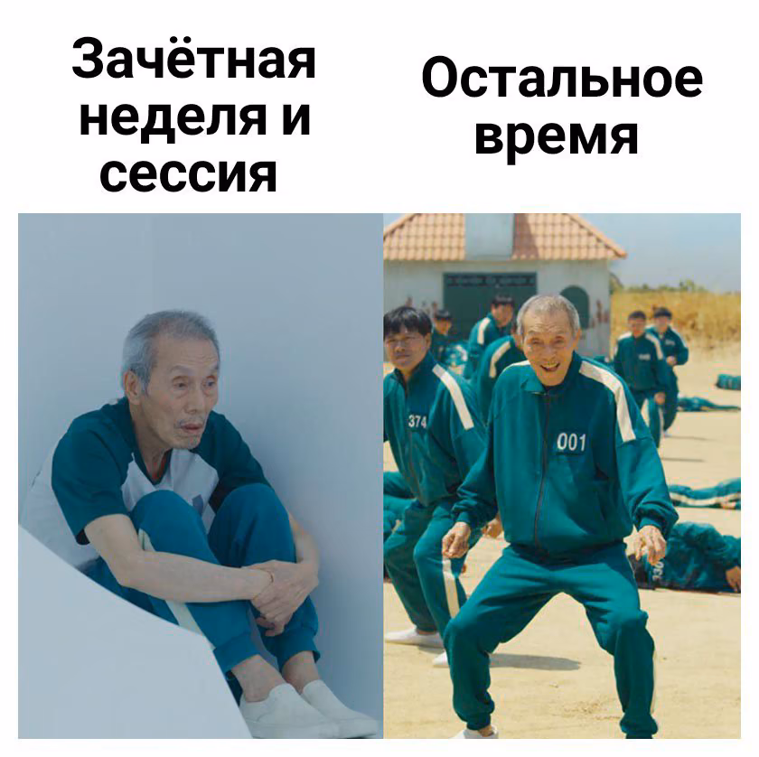 d6f4aff278a1eaf58ebdf1052a9bc1bf.avif