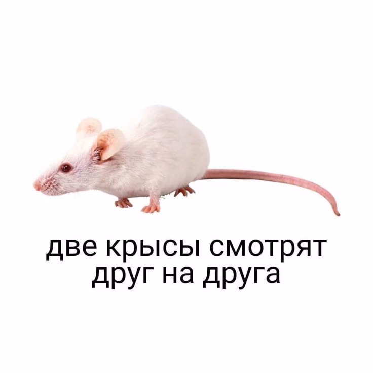 d6fae8545585cf7d463c35e4520c632f.jpg