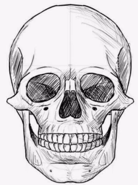 d6ffae555751b3e01bb5a943c098625c.jpg
