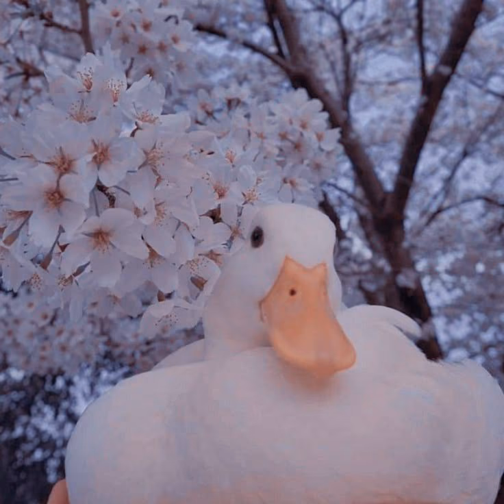 d71147f71dd7979536ee68ce5b8e3062.avif