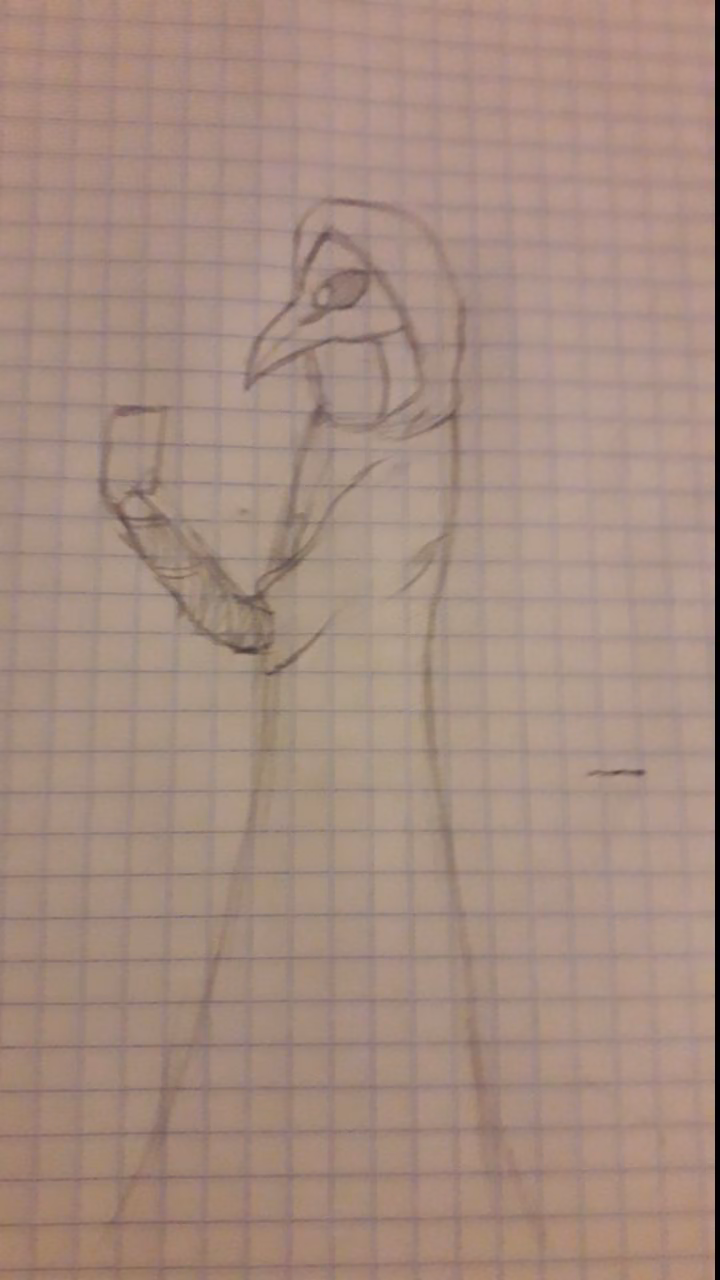 d74b87e4b6b57bb751325df23d0eecb0.avif