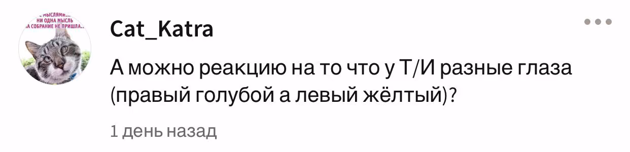 d758bd3748456bea8f3b99c730aff488.avif