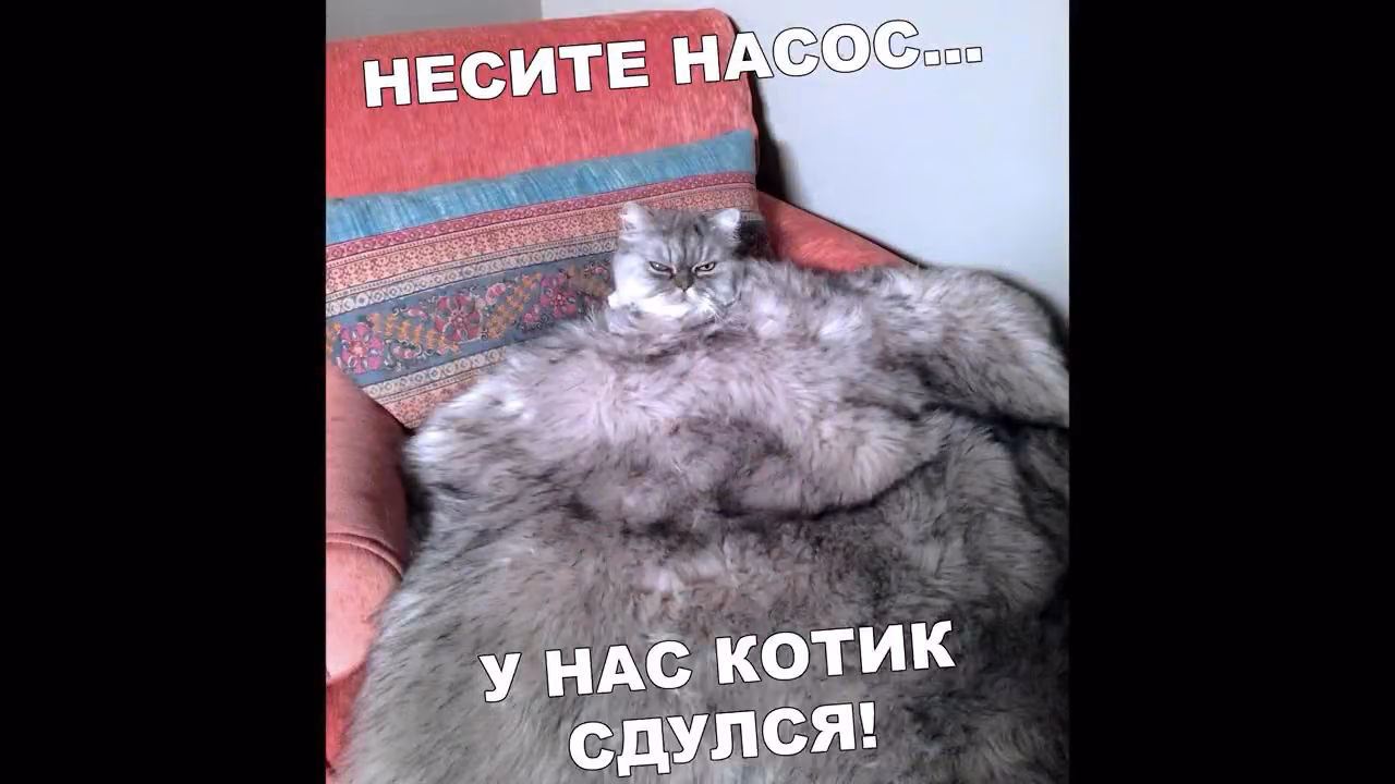 d77819993b90ced88e0ace2e9070bb1c.jpg