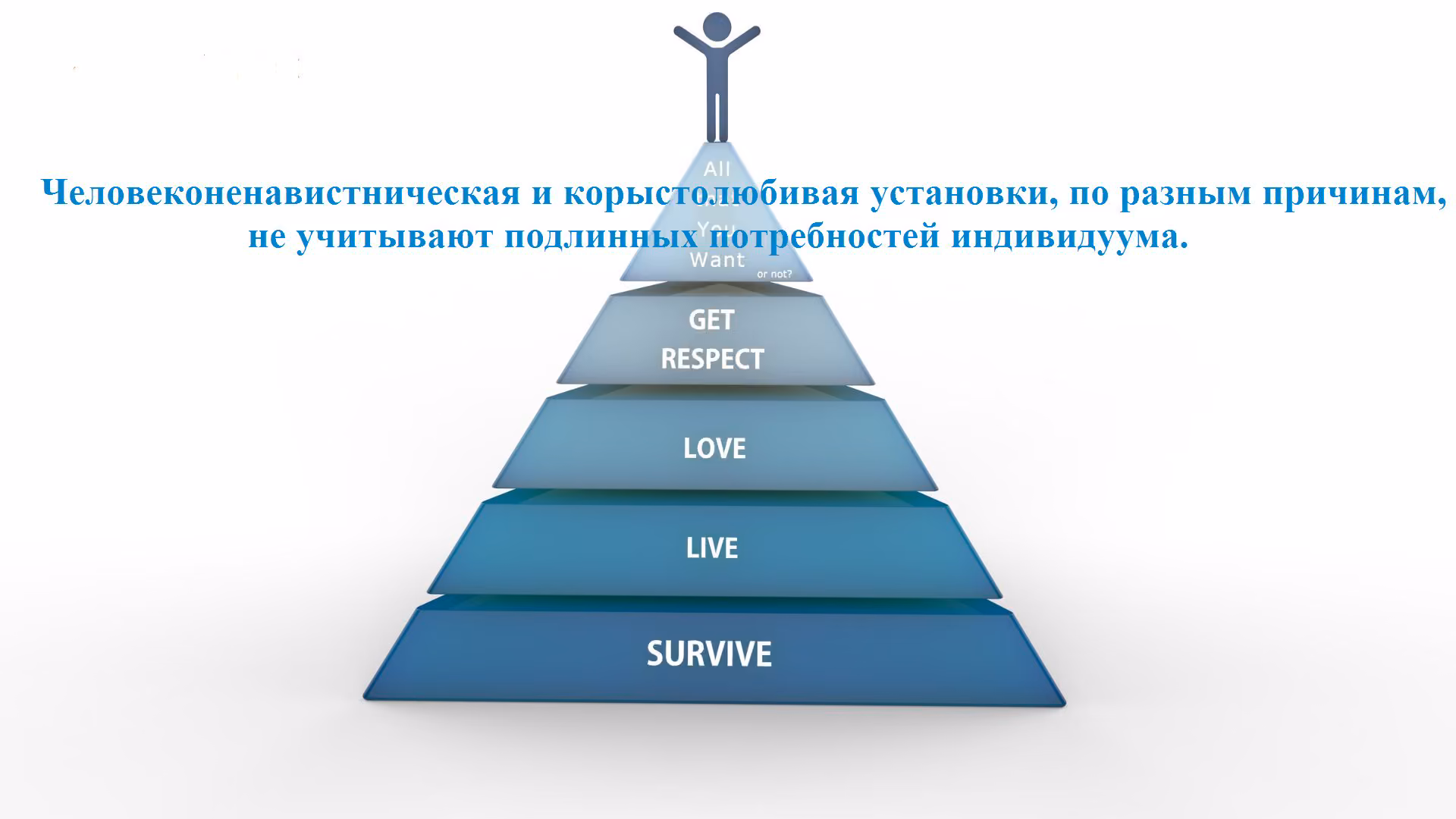 d77be89463bdd023ba1f0aea73873dff.avif
