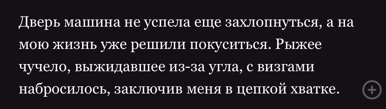 d78cfaf481b51dd82f1c2f0a22ffefba.avif