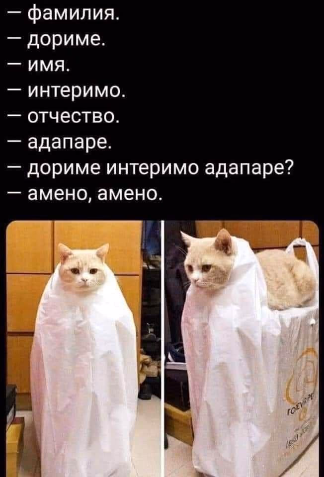 55e6ea8a92ddcc2e4992c3af75ad00d3.jpg