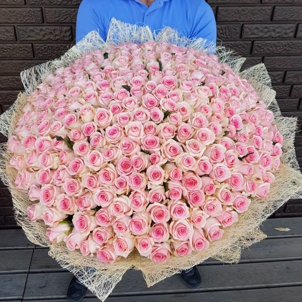 d7a41717647715cc63014fd113d6335a.avif