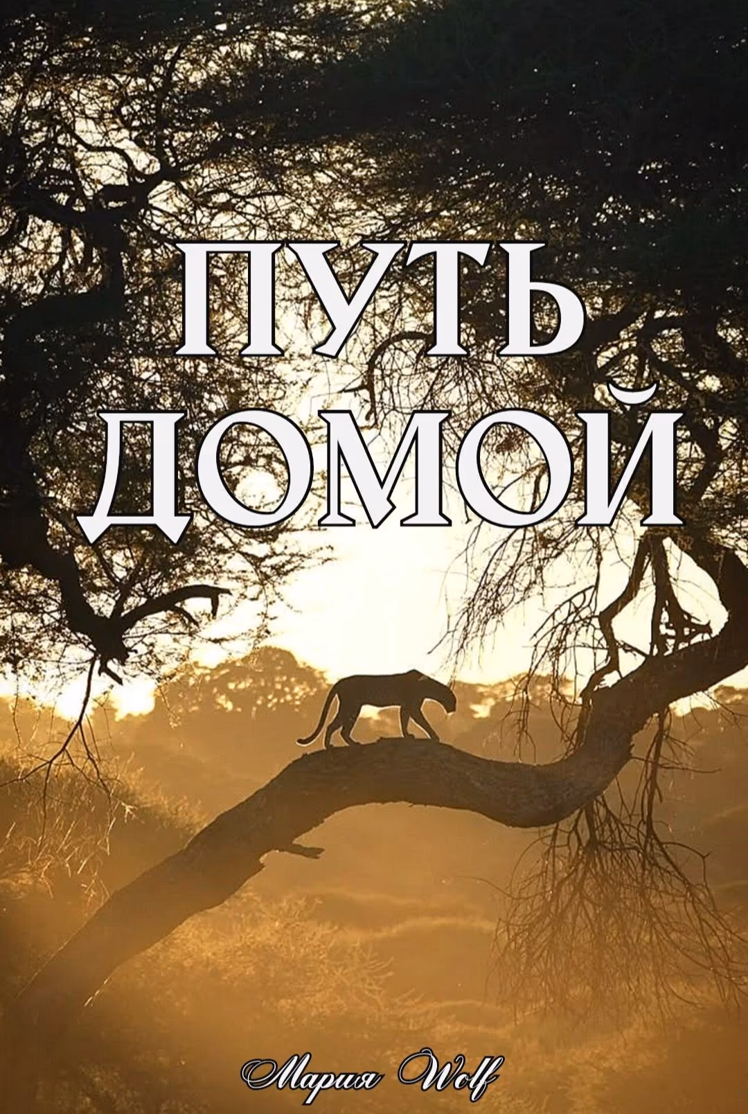 d7b5867658d0fdead16fc2c665998ad1.avif