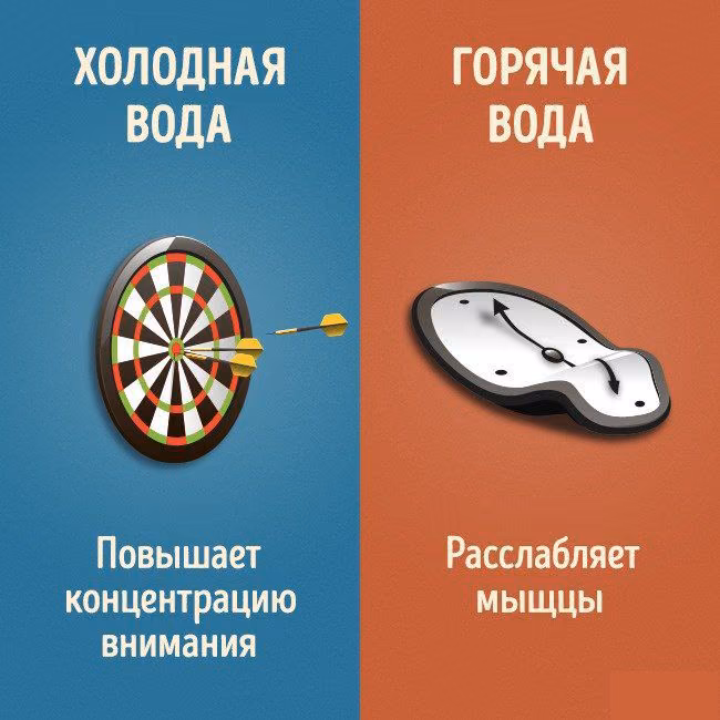 d7d37dff9fd7eec94e390b4c226dd47c.avif