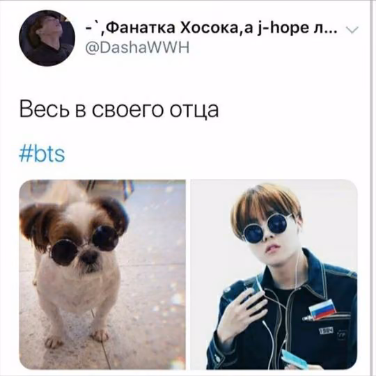 d7d43710d4fd4f226c026a03d209ae65.avif