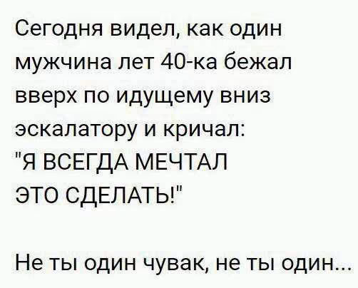 d7dafb104bc1c4002aa29a71d0c5ab87.avif