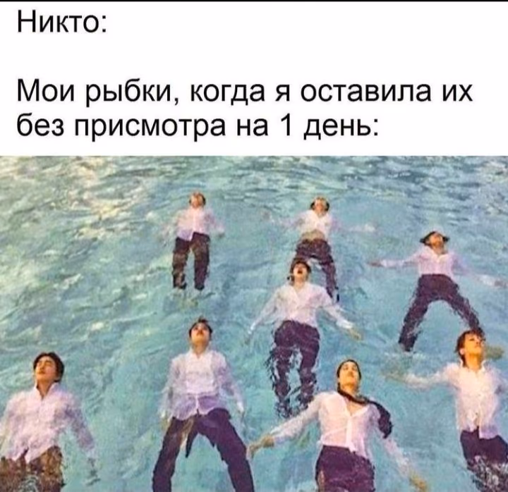 d7dd56845b8e950347a807d020b38a1d.avif