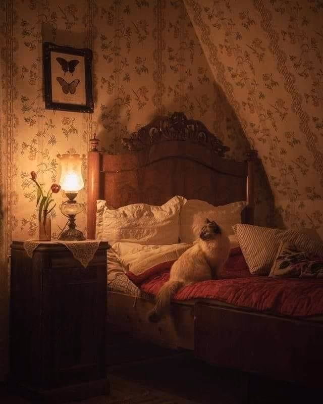 d7e8c2cefafbc6ec8161c9f789063272.avif