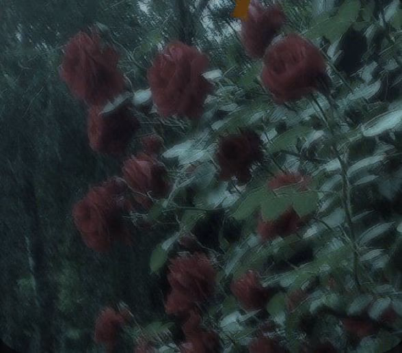 d7ee273af2d04d89da350673728aa4f2.jpg