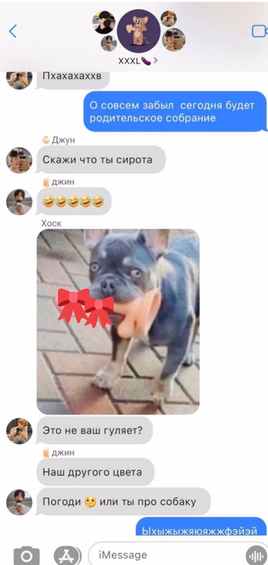d80e937e25ba4aa39d45beb7aaa8025f.avif