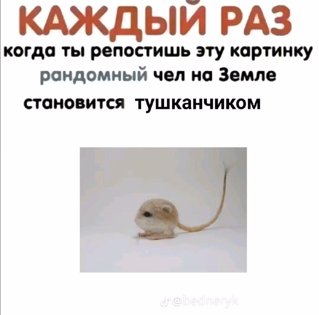 d813caf6211ad4d8b2d492aa0cd2135c.jpg