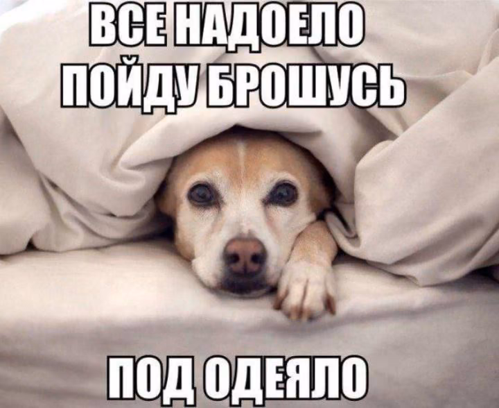 d8151b0b4b21ddc04290378705df65bc.jpg