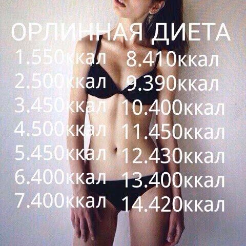 d818a6b7a5d9c7b3a04e7d4f79a4d418.jpg