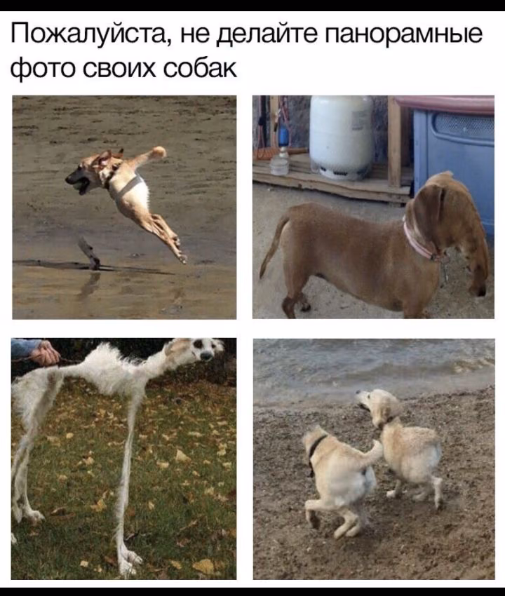 d81eb29b6dd2ab1730feabba3c37c0f3.jpg