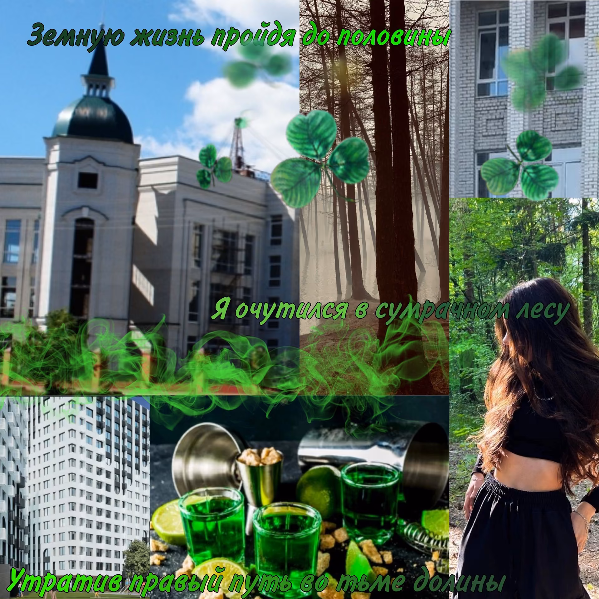 d8203a5f8a124e3415698cada965bd17.jpg