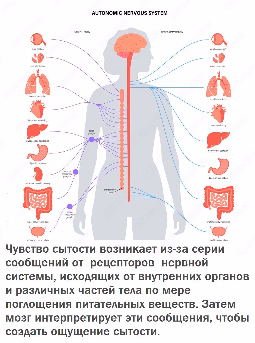 d84c0181e3e290333aa8a2bfb13636d3.avif