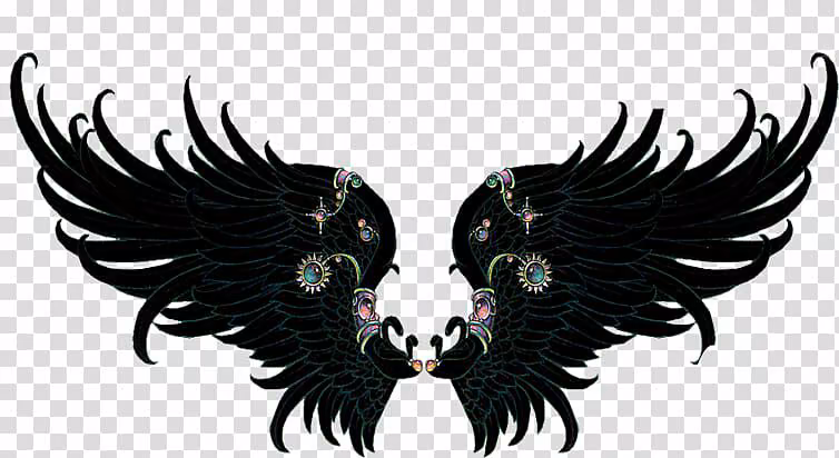 d854dad541bd9562d8ecabacb5574ed0.avif