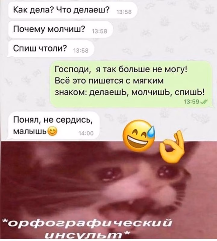 d8561c1fbb9efc64c354b592821c7ffd.avif