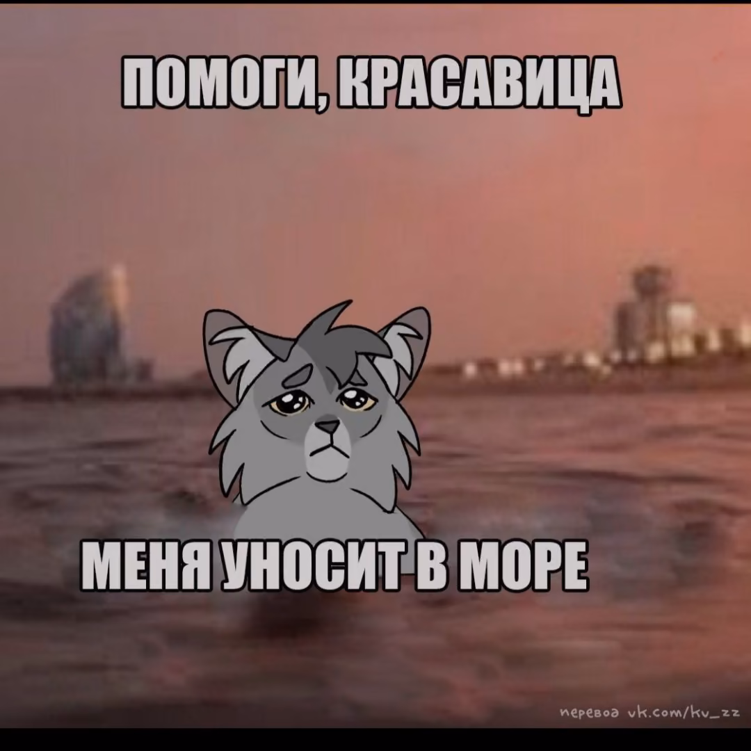 d8568e7be17ae66053200b35c681506d.avif