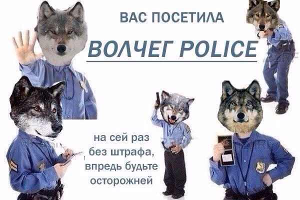 d85c0cb160ec7a1e553182b7dd07b687.jpg