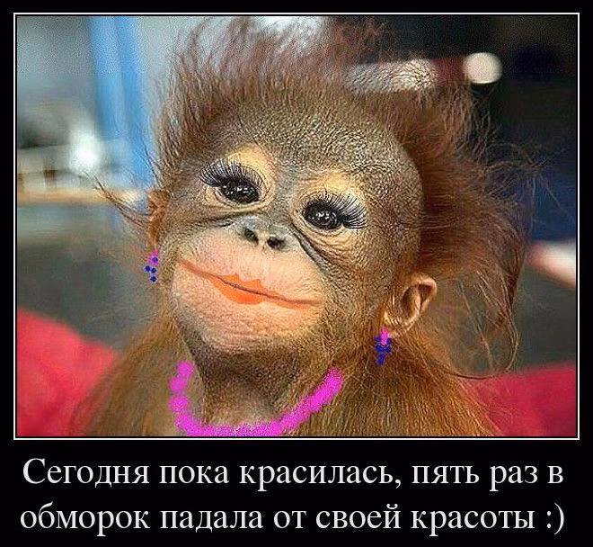 d85e34ed5a73019ff1fc5fa79fba0d0f.jpg