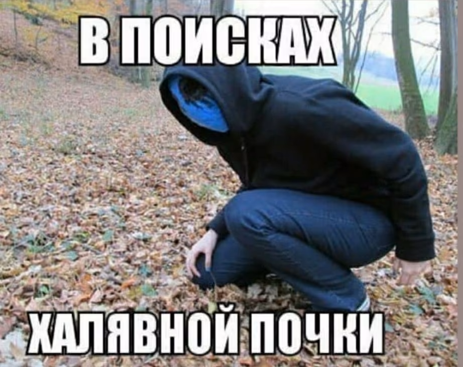 d85fc881e396019e03830abce82c79b9.jpg