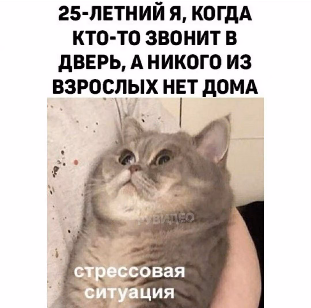 d86cce470a7daff43c9fd15a7be06c8d.jpg